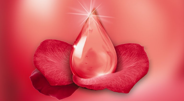 Štirje nasveti za ohranjanje lepih las in o tem, kako poškodovane lase spremeniti v zdrave