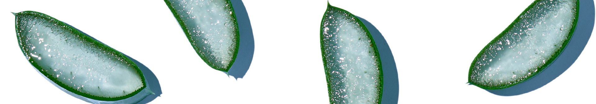 Odkrijte izredne vlažilne sposobnosti vseh oblik aloe vere v negi koži.