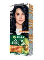Garnier Color Naturals 2.10 Plavetno crna