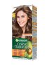 Garnier Color Naturals 6 Temno blond
