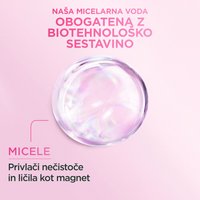GARNIER Micellar Classic 1x1 SRB 04
